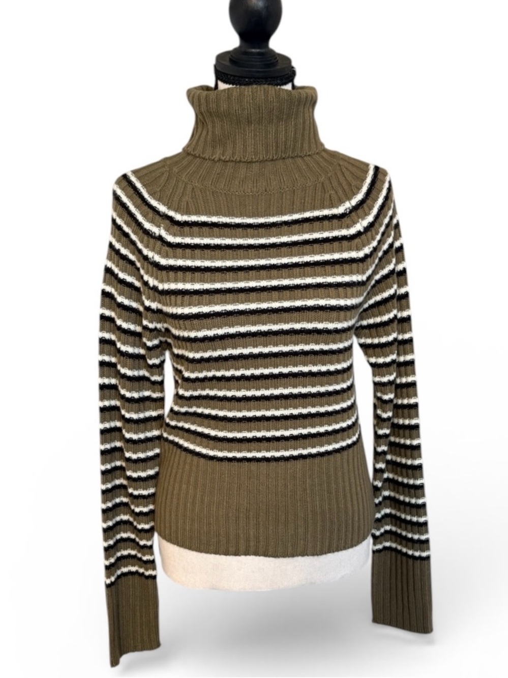 Bluenotes Ribbed Striped Turtleneck Sweater XL Earthy Neutral Fitted‎ Knit Cozy - Picture 4 of 9